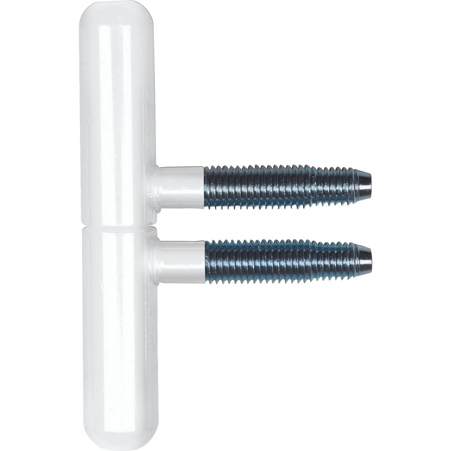SFS Einbohr Zierband 14 mm, Typ Nussband, Stahl weiß beschichtet RAL 9010