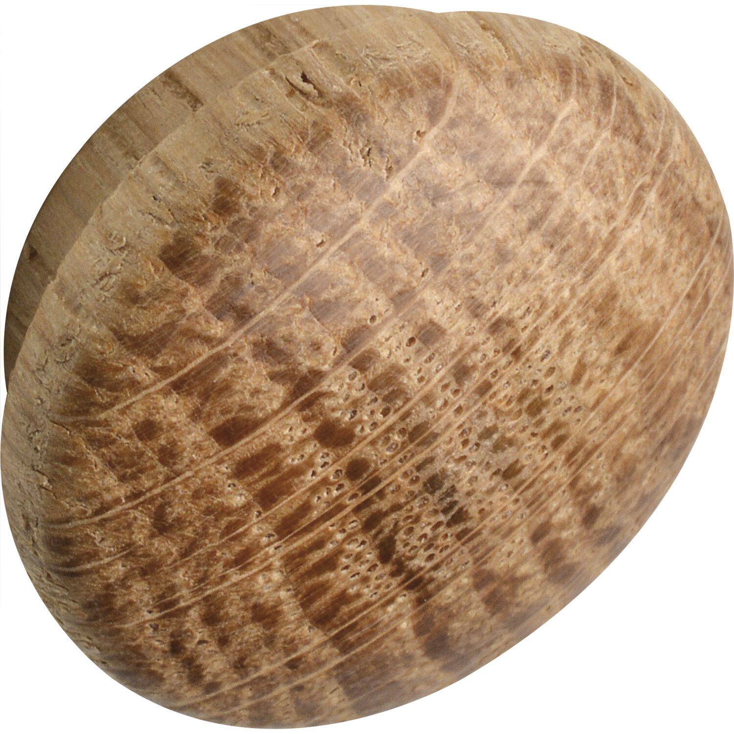 ninka Holzabdeckkappe ø 19 mm, Zapfen ø 15 mm, Zapfenlänge 4 mm, Eiche roh