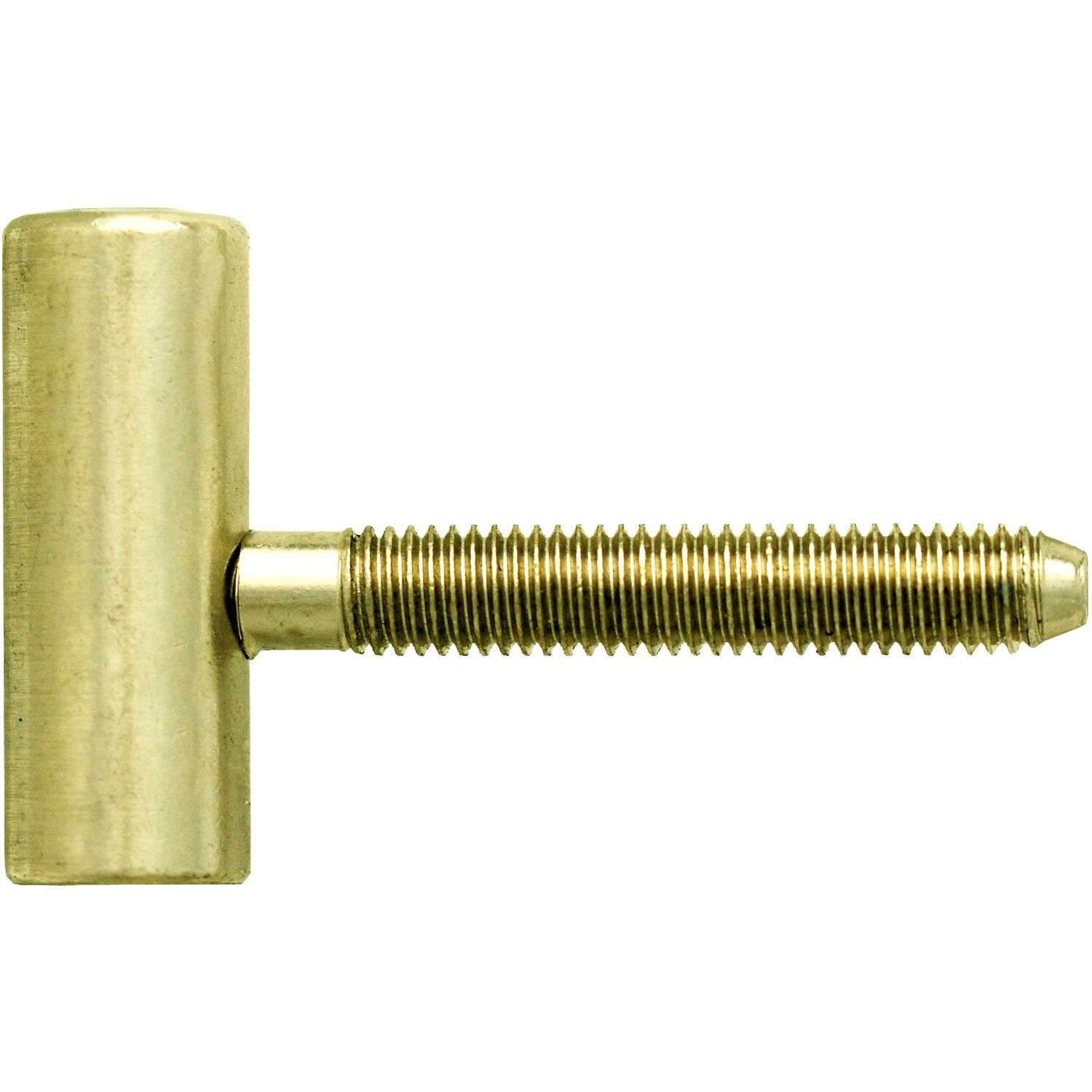 Otlav Einbohrband Typ 100, Flügelteil, Band ø 15 mm, Stahl vermessingt