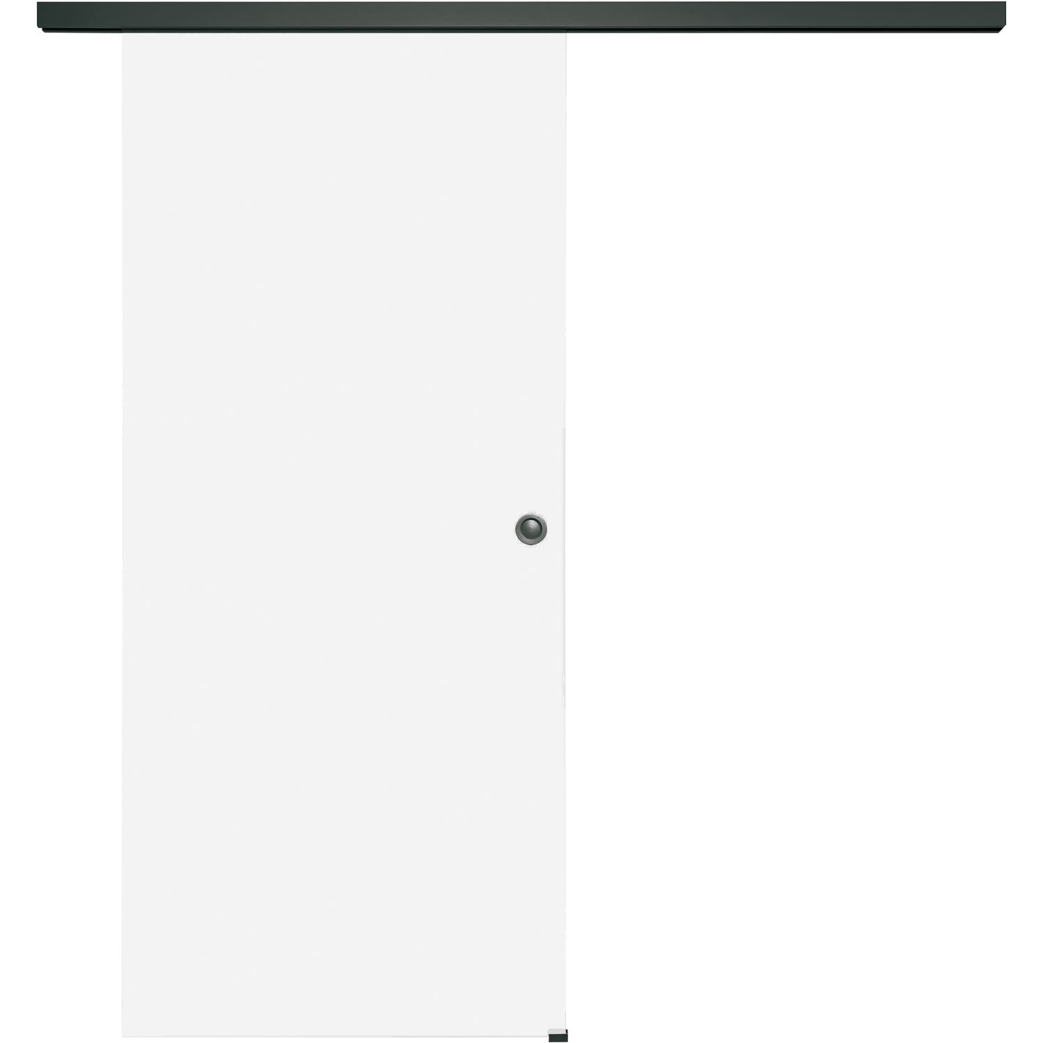 Glasschiebetür Set Satiniert, 920x2100 mm, Beschläge/Muschelgriff schwarz