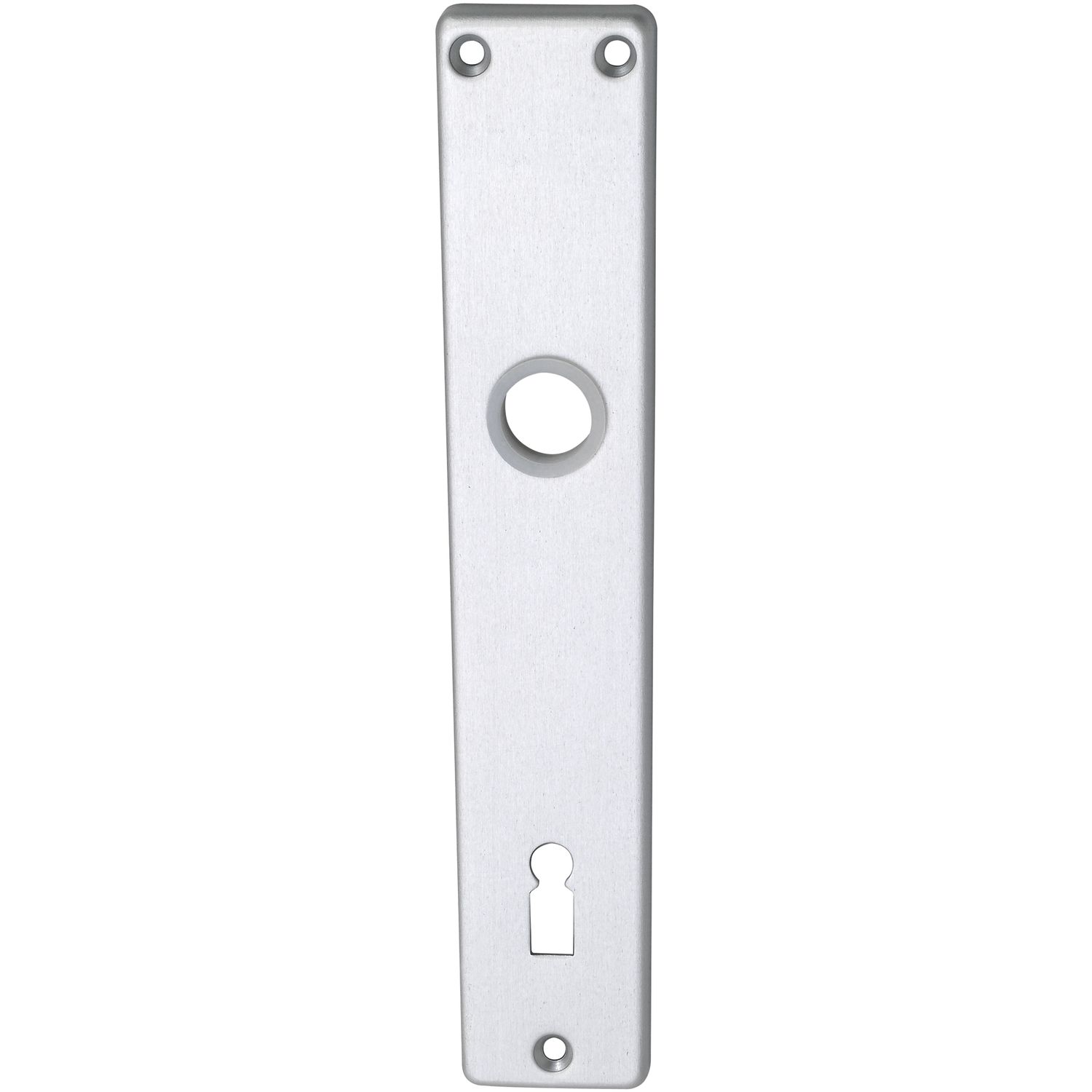 Langschild EUROPA, BB 90, silber eloxiert