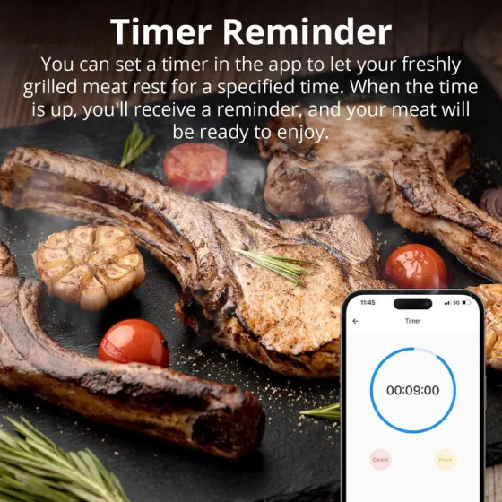 Sonoff BBQ-Fleischthermometer BMT01