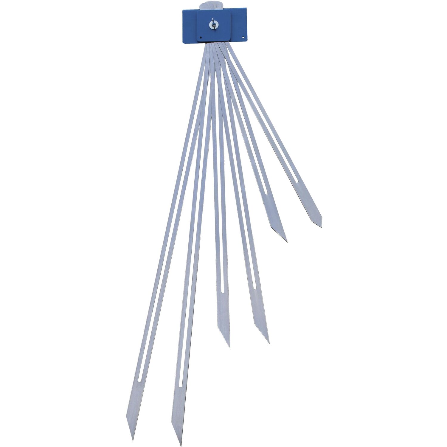 hedue Treppenspinne mit sechs Tastlehren