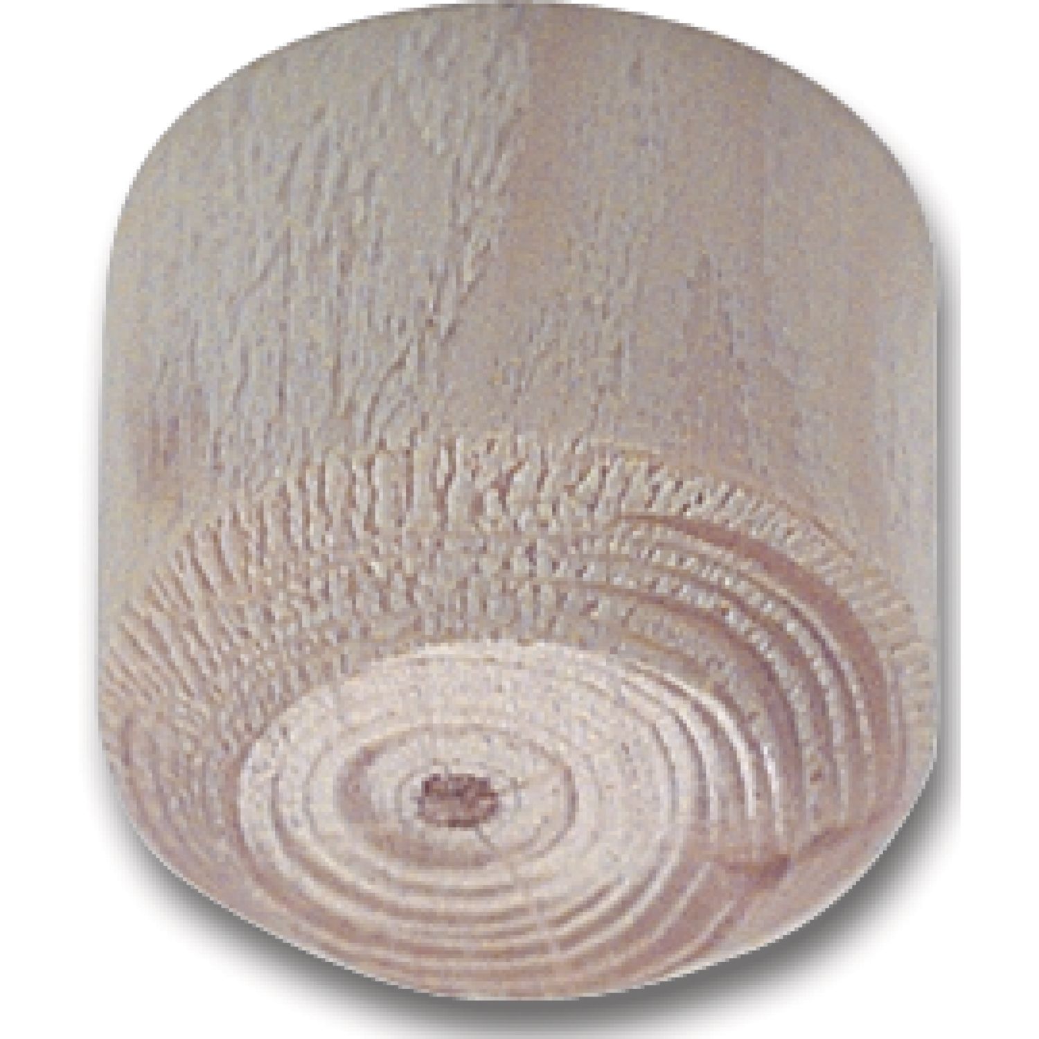 secOtec Astdübeln Fichte Durchmesser 10mm Höhe 9mm (20 Stück)