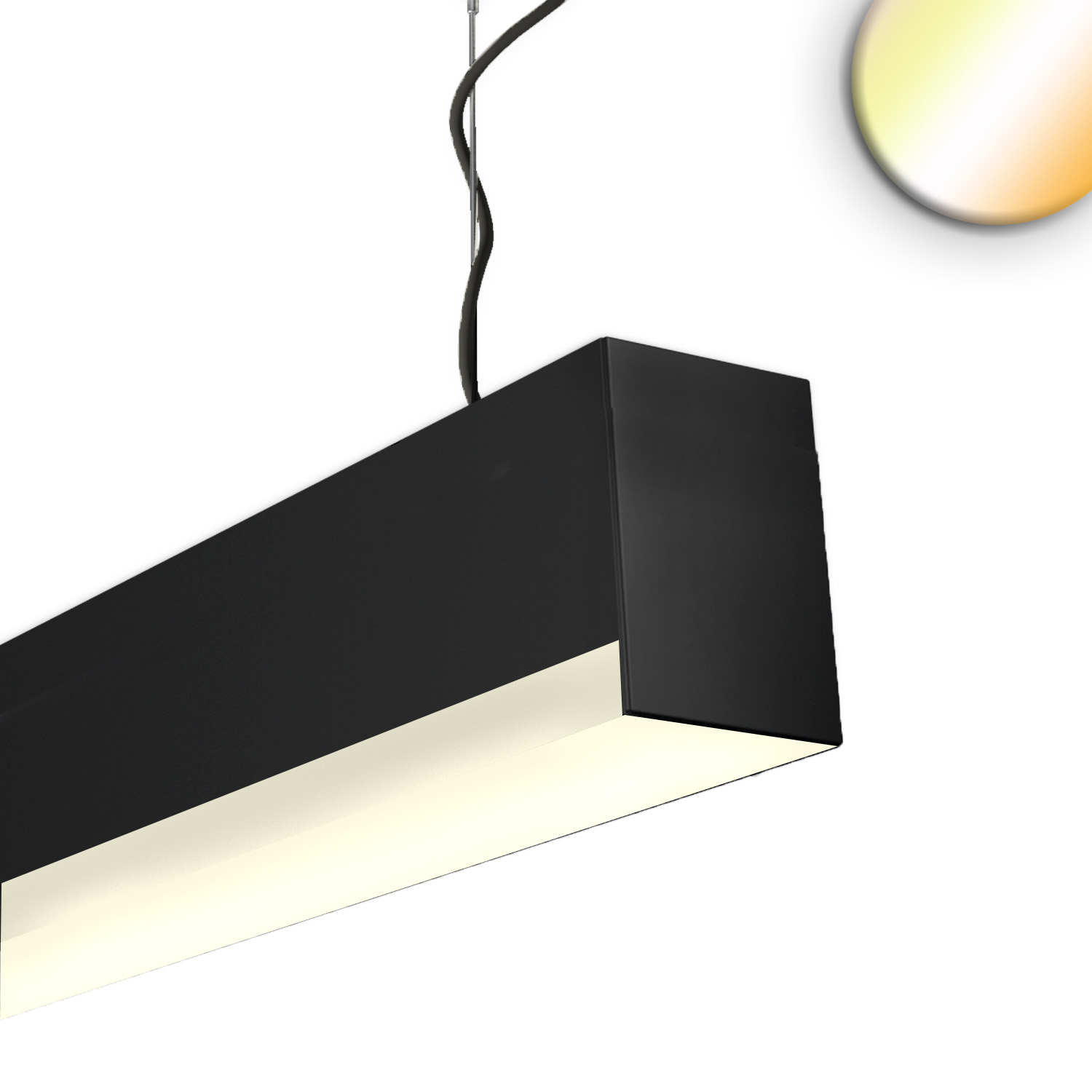 ISOLED PROLAMP30HIDhs Pendel 68W schwarz 1500mm U-Cover Push/DALI dimmbar CCT+CCT