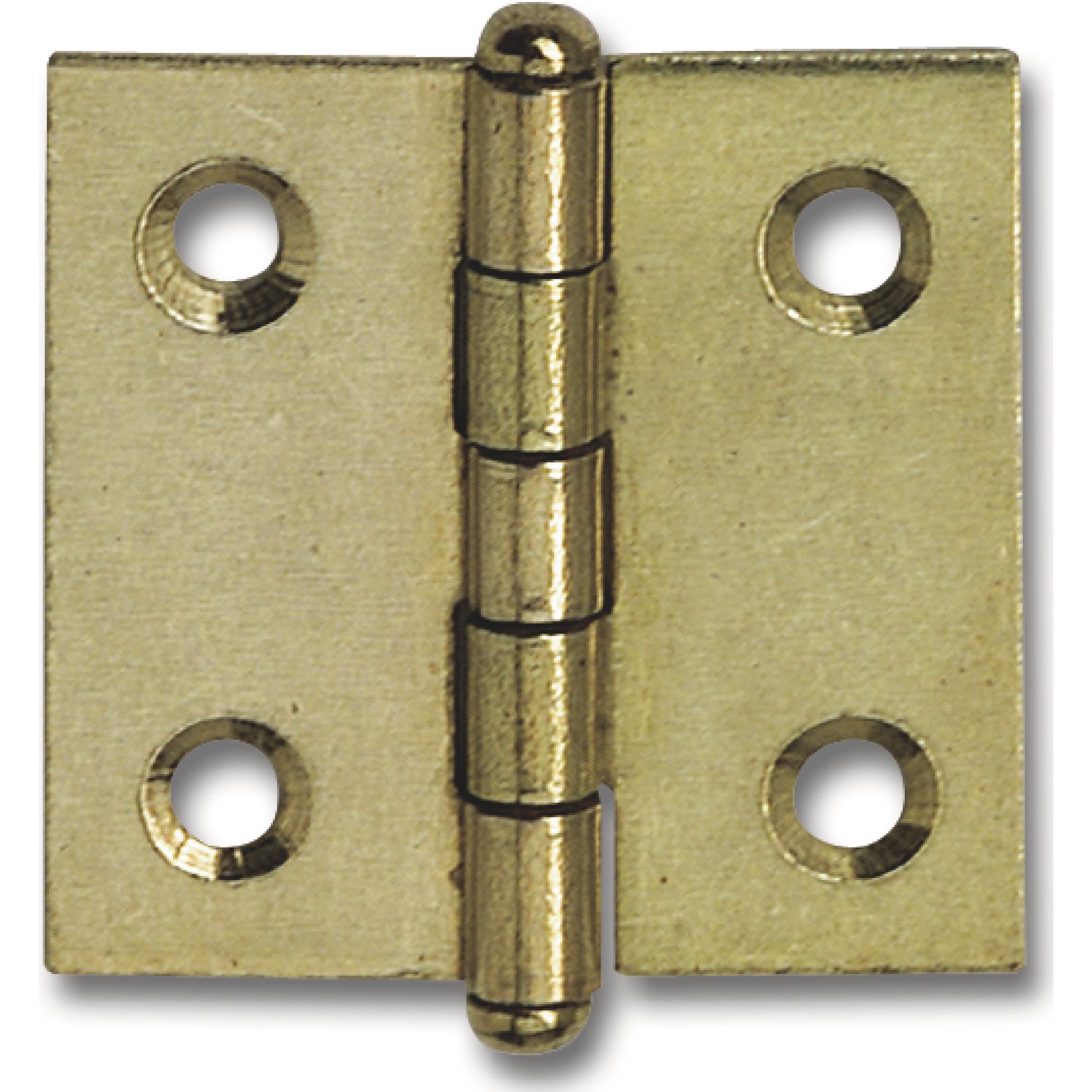 Knopfscharniere gerade 50X40 mm Stahl vermessingt
