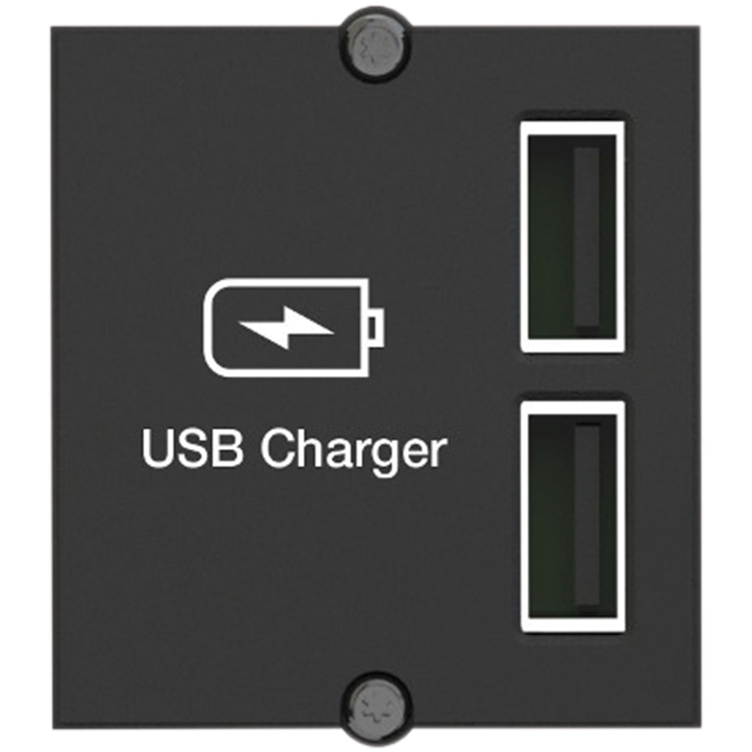 BACHMANN Keystone Modul USB Doppelcharger 2xUSB-A, 2,4A
