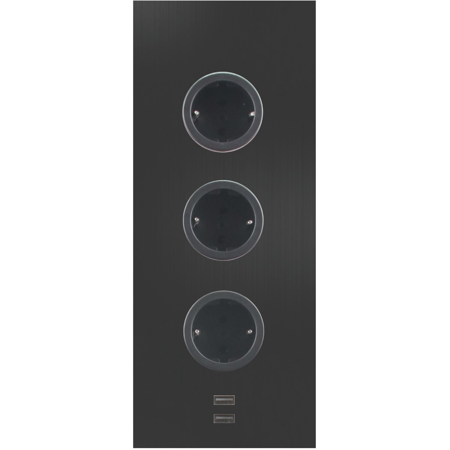 CARESSI Steckdosenelement 3ST29 3 Schukosteckdosen 2 USB-Charger schwarz