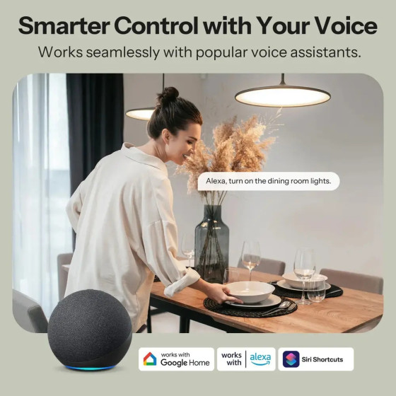 Sonoff MINI DUO 2-Fach Matter WiFi Intelligenter Schalter MINI-2GS