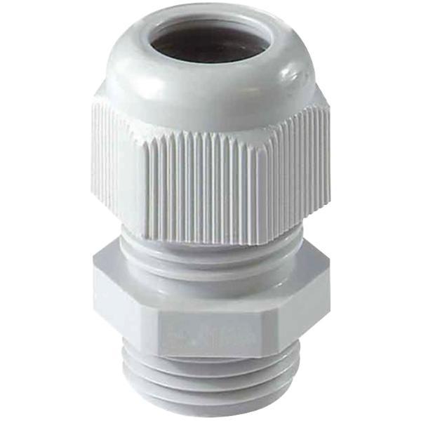 Kabelverschraubung M25x1,5 RAL 7035 lichtgrau, SW29/29