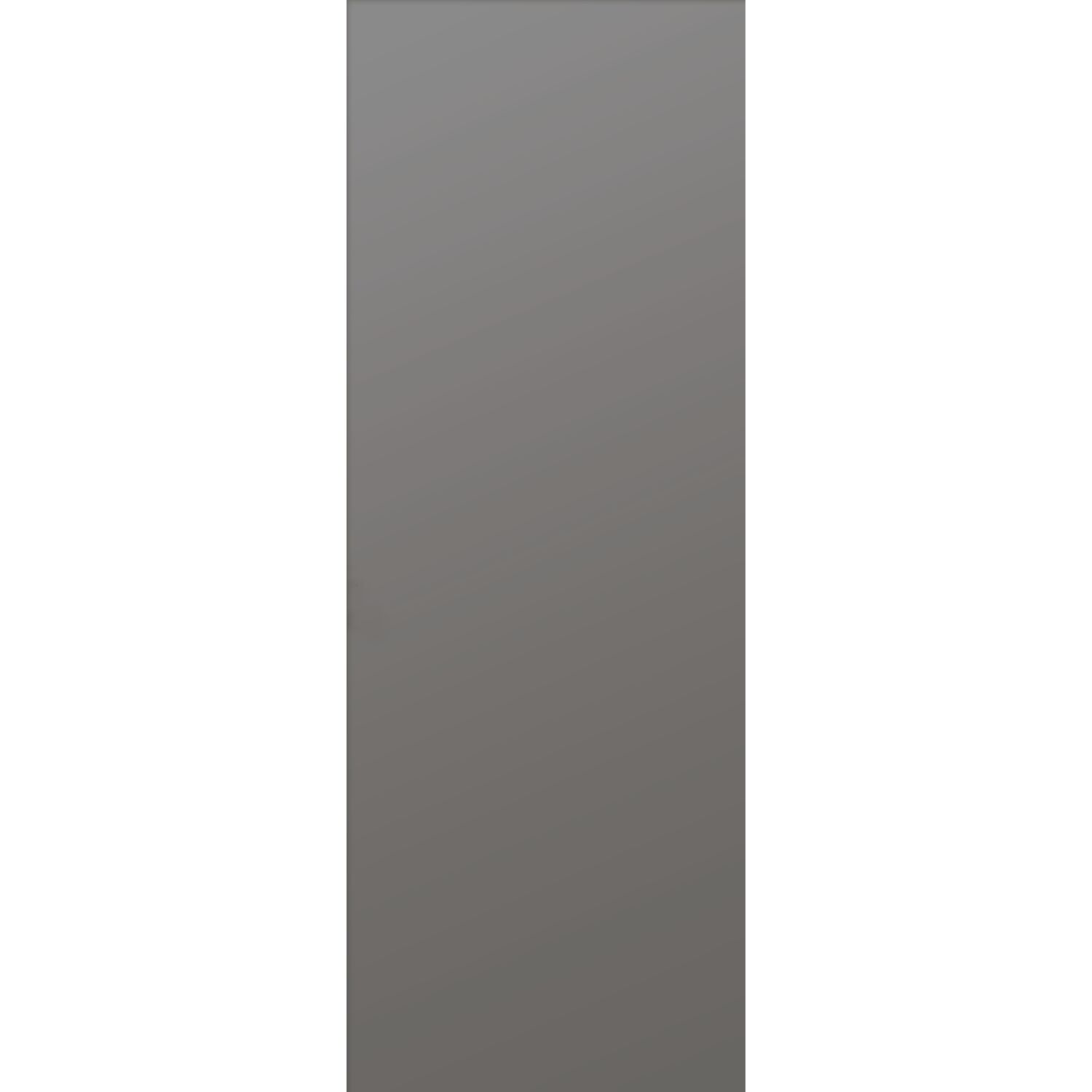 solido Verglasungsvariante A, ESG - BlackShine, 1495x605x4 mm