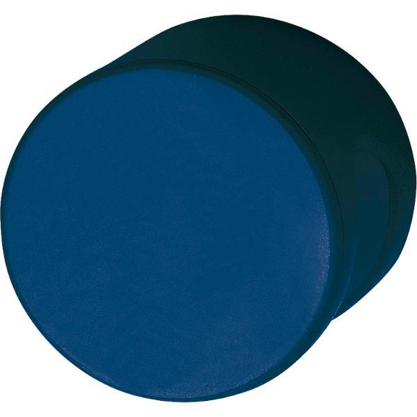HEWI #F19513.0004 50 Türknopf 122.23 FK - stahlblau